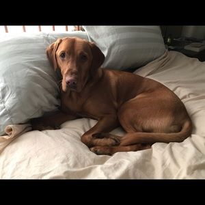 Meet your Posher, Maureen